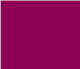 Willow Project Management - Crewkerne, Somerset